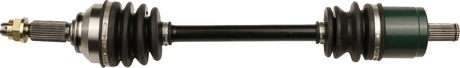 02142747_0.png