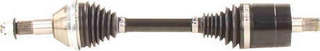 02142761_0.png