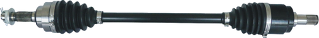 02142768_0.png