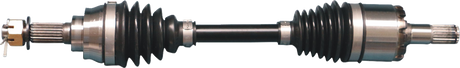 02142769_0.png