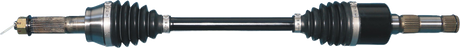 02142788_0.png