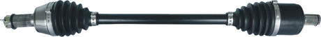 02142793_0.png