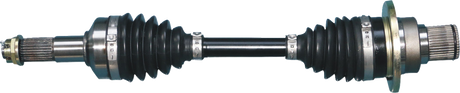02142806_0.png
