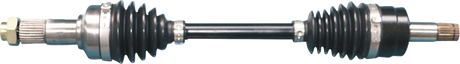 02142808_0.png