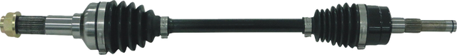 02142809_0.png