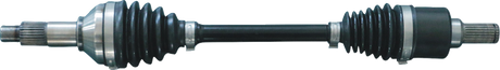 02142813_0.png