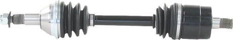 02142859_0.png