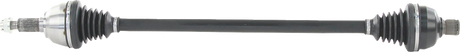 02142861_0.png