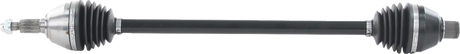 02142865_0.png