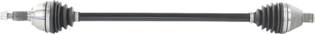 02142867_0.png