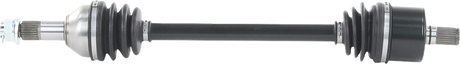 02142873_0.png