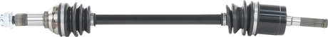 02142876_0.png