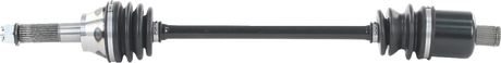 02142881_0.png