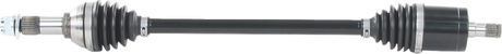 02142886_0.png