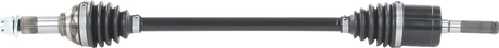 02142888_0.png