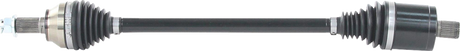 02142890_0.png