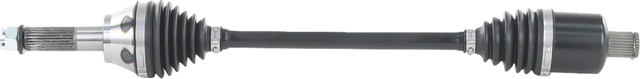 02142892_0.png