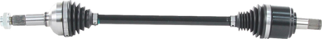 02142893_0.png