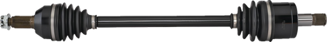 02143113_0.png