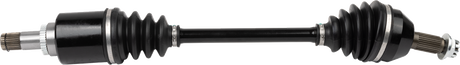 02143117_0.png
