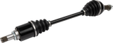 02143117_2.png