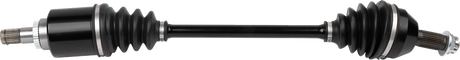 02143119_1.png