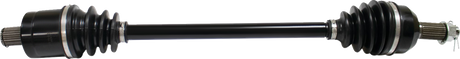 02143125_0.png