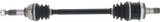 02143168_0.png