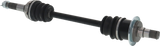 02143171_2.png