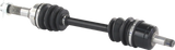 02143172_2.png