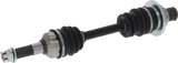 02143175_0.png