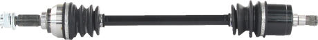 02143190_1.png