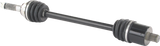 02143196_1.png