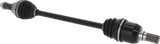 02143198_1.png