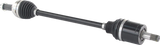 02143209_2.png