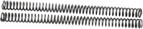 04050331_1.png
