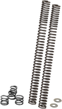 04050528_0.png