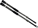 04140546_2.png