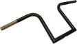 06013479_0.png