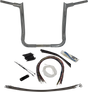 06015303_0.png