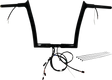 06016159_0.png