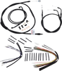 06100479_0.png
