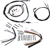 06100481_0.png