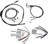 06100486_0.png