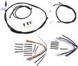 06100491_0.png