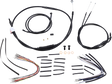 06100492_0.png