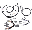 06100497_0.png