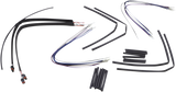 06101667_2.png