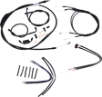 06101668_0.png