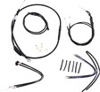 06101918_0.png